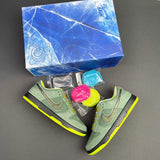 Nike SB Dunk Low Green Lobster Sneakers BV1310-337