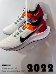 Nike Air Zoom Pegasus 38 Running Shoes DQ4499-101
