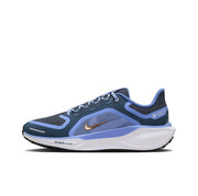 Nike Pegasus 41 GORE-TEX Running Shoes FQ1357-400 Blue